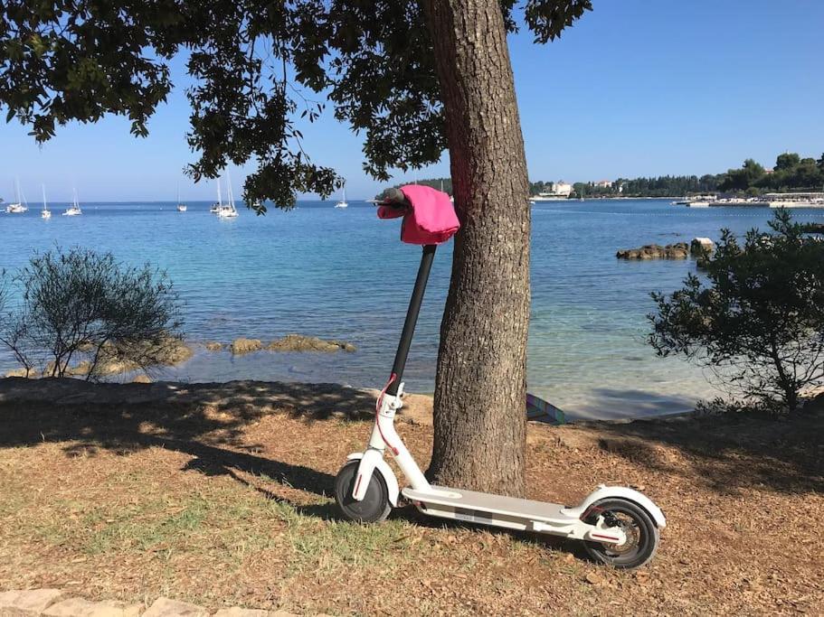 Apartment Capo D'Oro Rovinj Eksteriør bilde