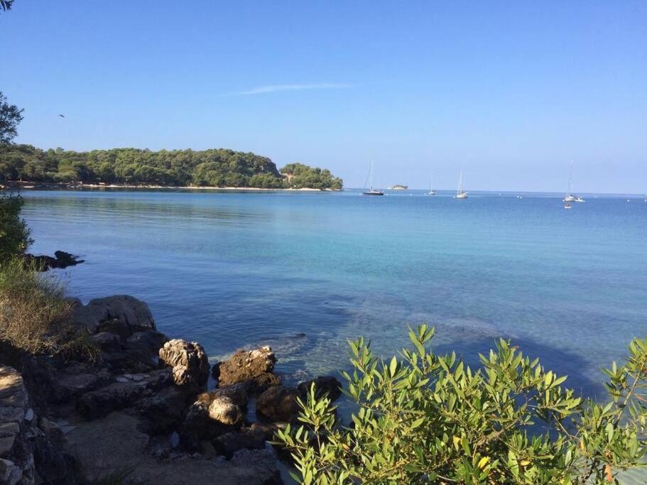 Apartment Capo D'Oro Rovinj Eksteriør bilde